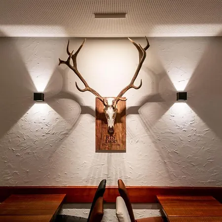 Hotel Binders Budget City-mountain Innsbruck