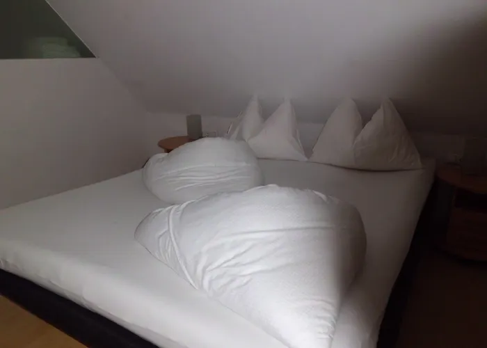 Otel Binders Budget City-mountain 4*