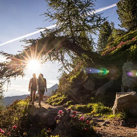 Hotel Binders Budget City-mountain