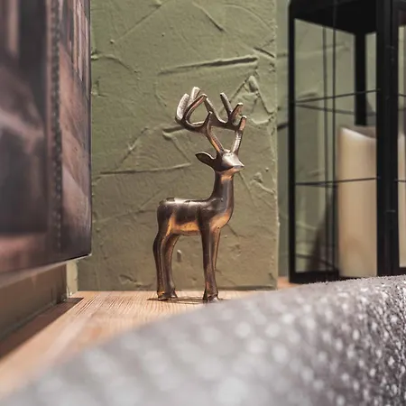 Binders Budget City-mountain فندق إنسبروك