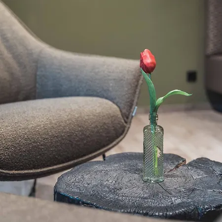 Otel Binders Budget City-mountain 4*