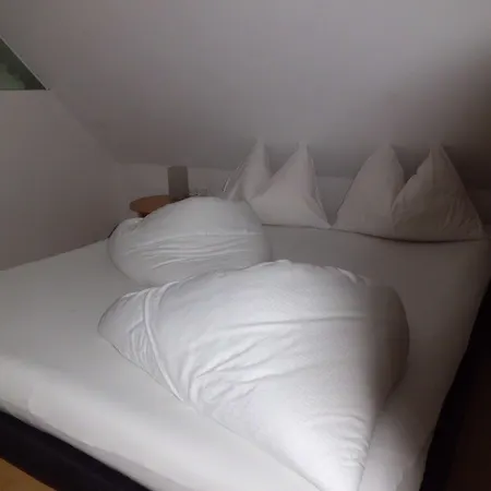 Otel Binders Budget City-mountain 4*