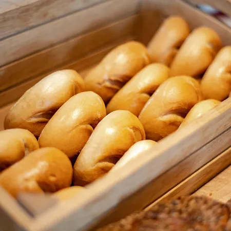 Binders Budget City-mountain Hotel Innsbruck