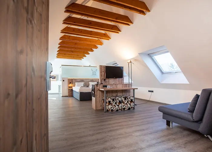 Binders Budget City-mountain 4* Innsbruck