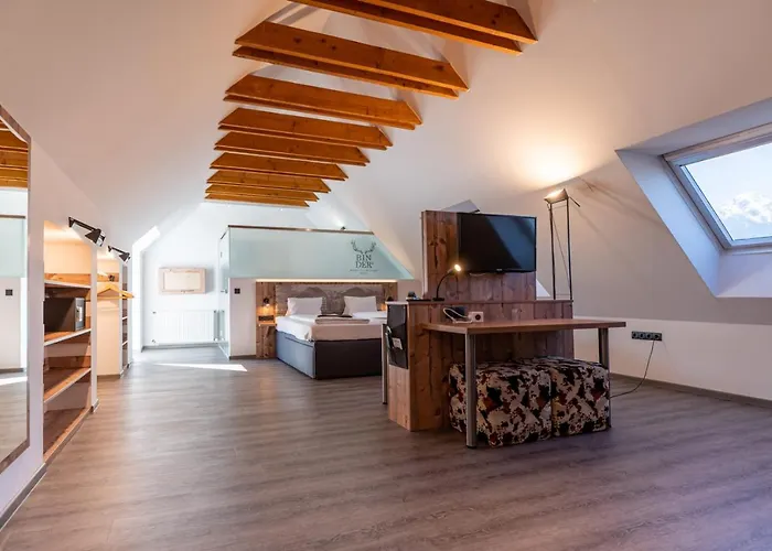 Binders Budget City-mountain