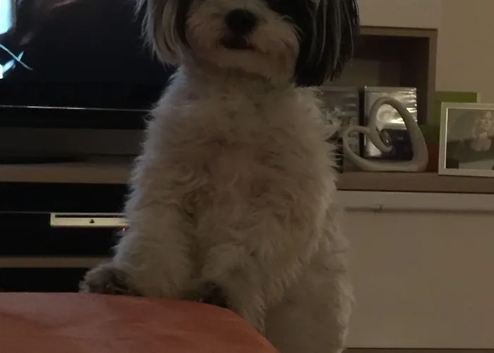 Binders Budget City-mountain 호텔 인스브루크